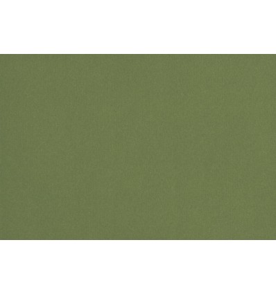 Cartone per passepartout Verde Alga cm 80x120