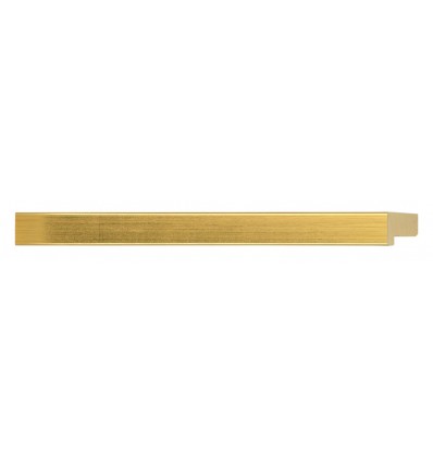 2020 ORO