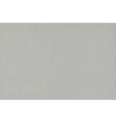 Cartone grigio "MyArte" 70x100 da 2 mm. c.a. - 27 pz.