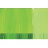 Colore acrilico satinato, 75 ml Giallo verdastro MAIMERI